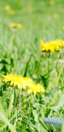 Realizzazione siti web