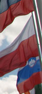 Traduzioni siti web